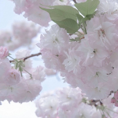 兽设洞穴场景绘制福瑞交流群